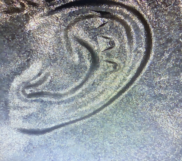 2017-D-Dime-Found-In-My-Penny-Roll-With-A-Crazy-Ear,-Is-This-An-Error?